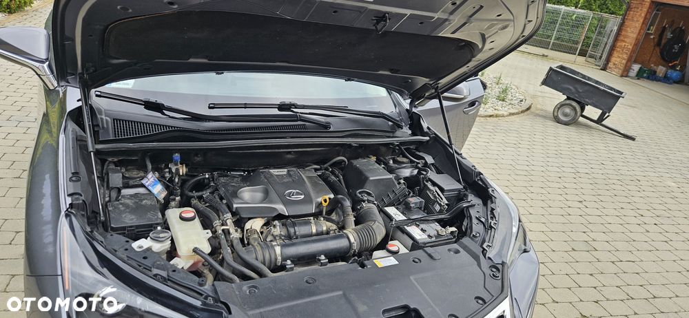 Lexus NX - 16