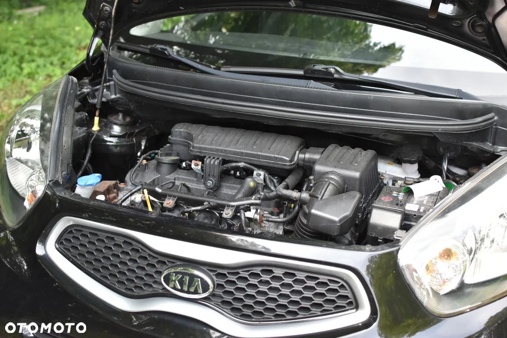 Kia Picanto 1.2 Dream Team Edition - 25