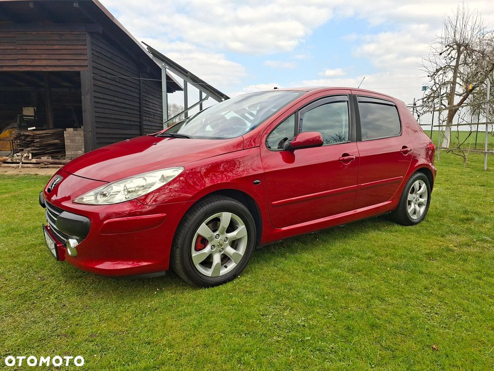 Peugeot 307 140 Sport - 5