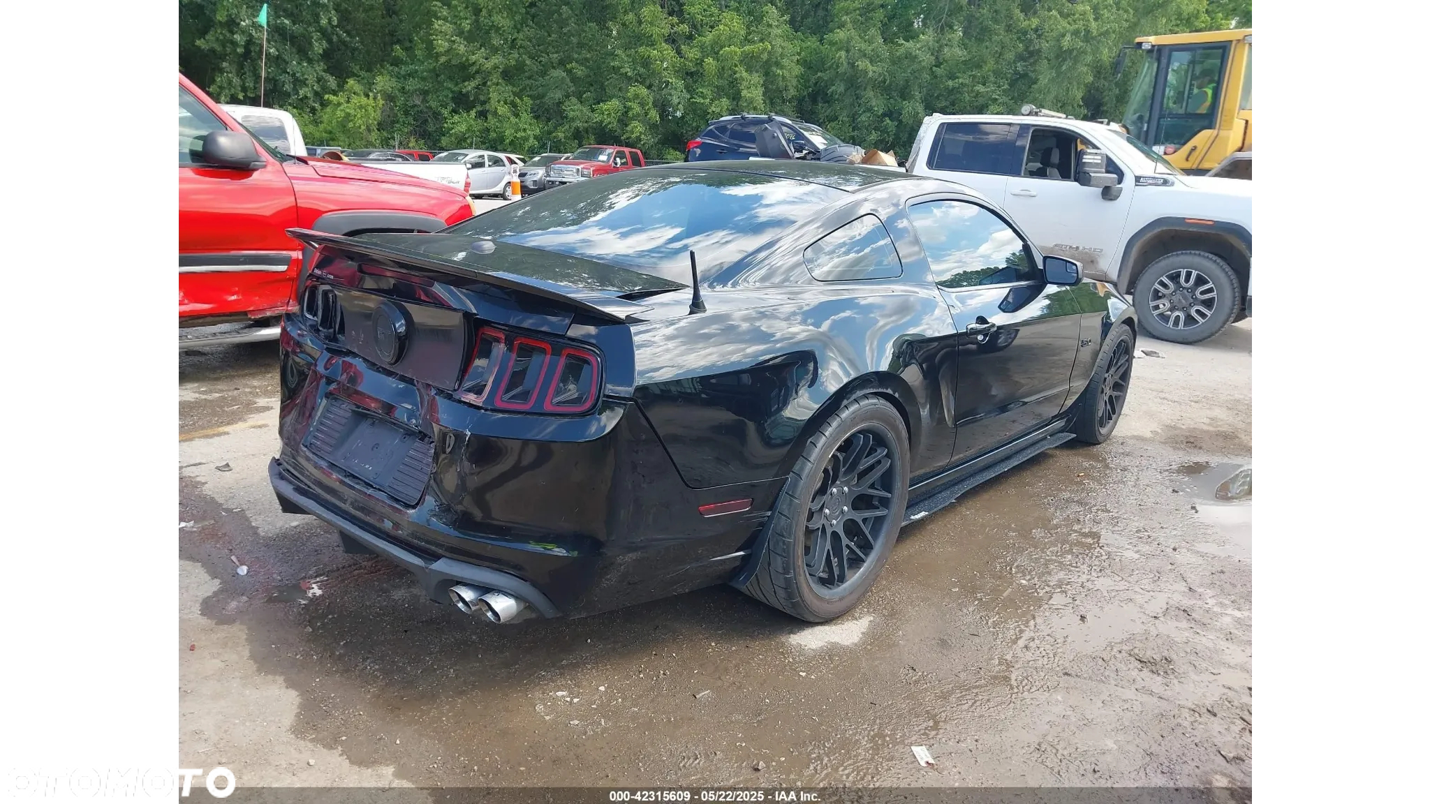 Ford Mustang - 7