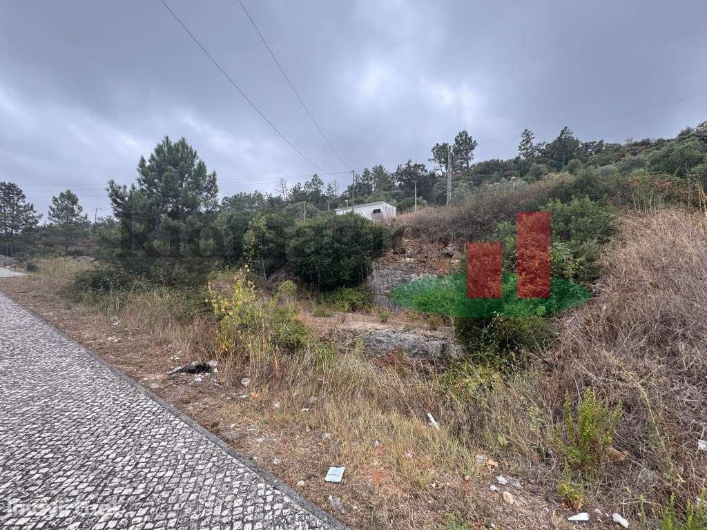 Terreno - Alcanena ***RIOMAGIC*** - Grande imagem: 3/6