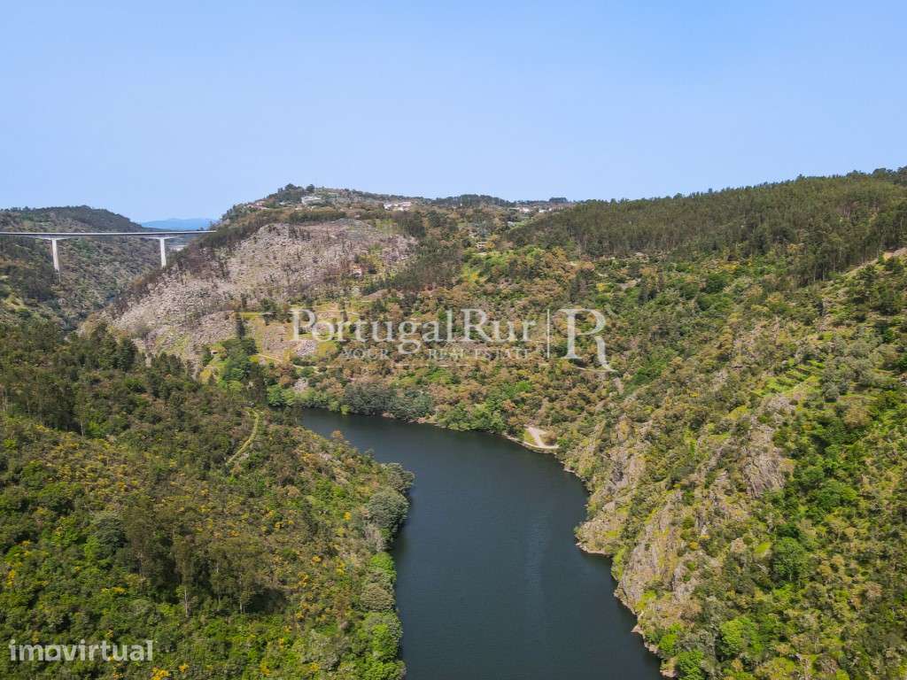 Quinta com 9.500m2 junto ao Rio Zêzere - Grande imagem: 3/30