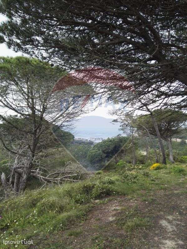 Terreno  para venda - Grande imagem: 3/3