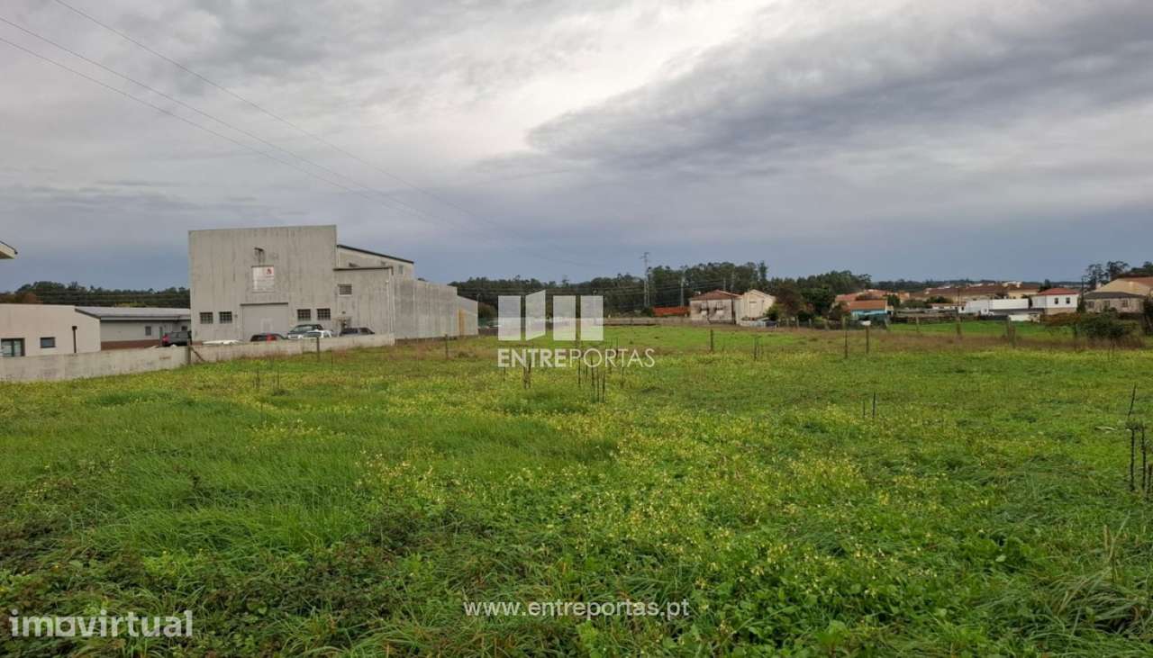 Venda de Terreno p/construção, c/6800m2, em Gião, Vila do Conde - Grande imagem: 2/5