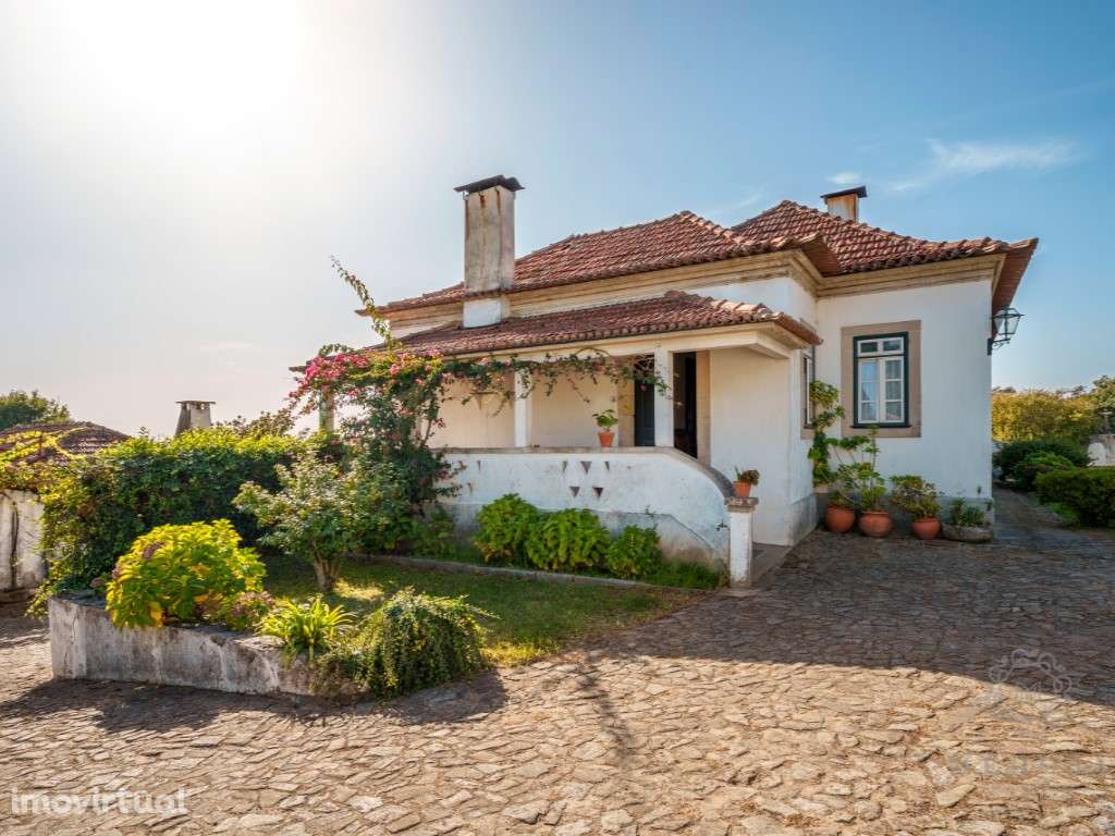 Quinta T5 | Terreno de 130.400 m2 | Oliveira de Azeméis , Aveiro - Grande imagem: 2/32