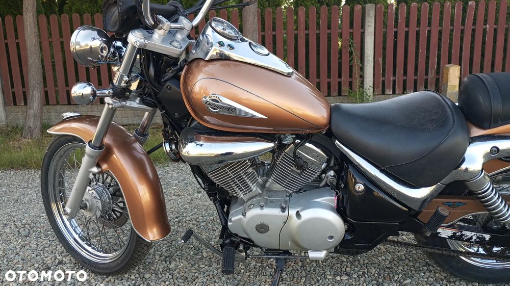 Suzuki Intruder - 10