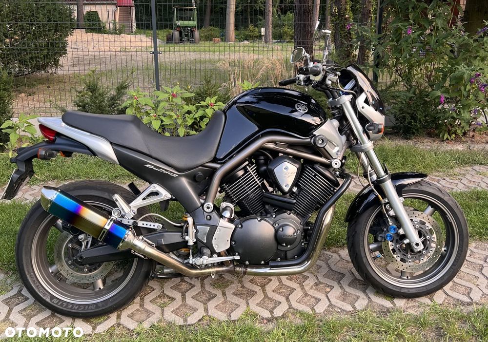Yamaha Bulldog - 2