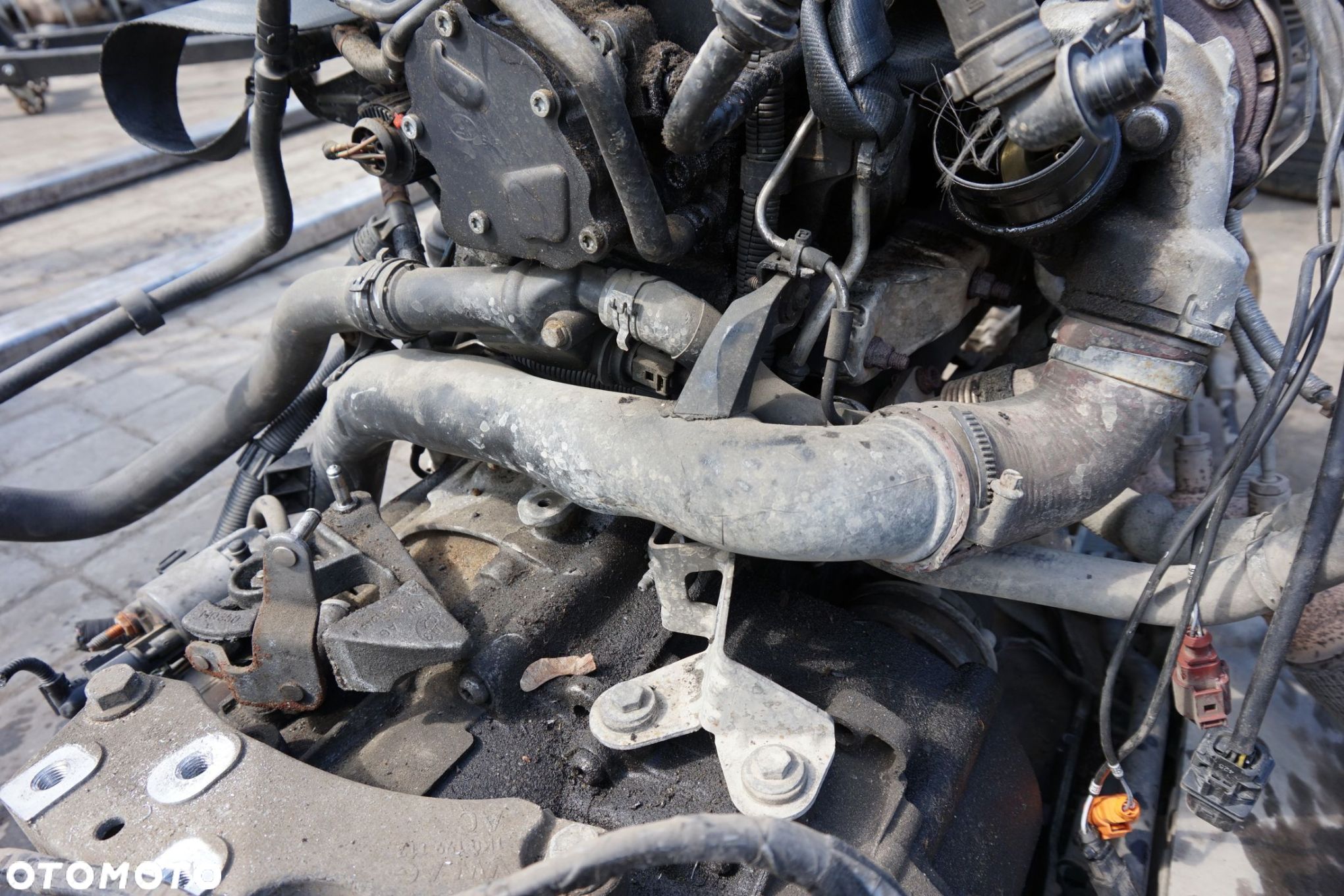 RURA TURBO EOS 1F7 2.0 TDI 3C0145840C 3C0145828K VOLKSWAGEN 2005-2010 - 1