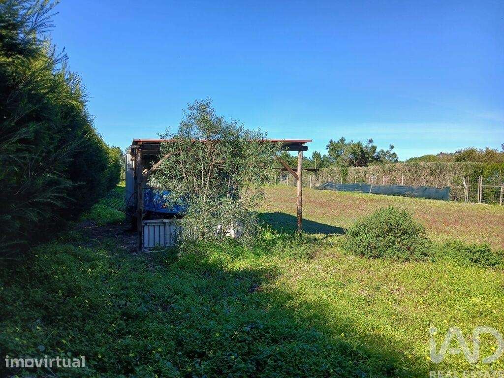 Terreno Agrícola em Vila Nova de Milfontes - Grande imagem: 5/11