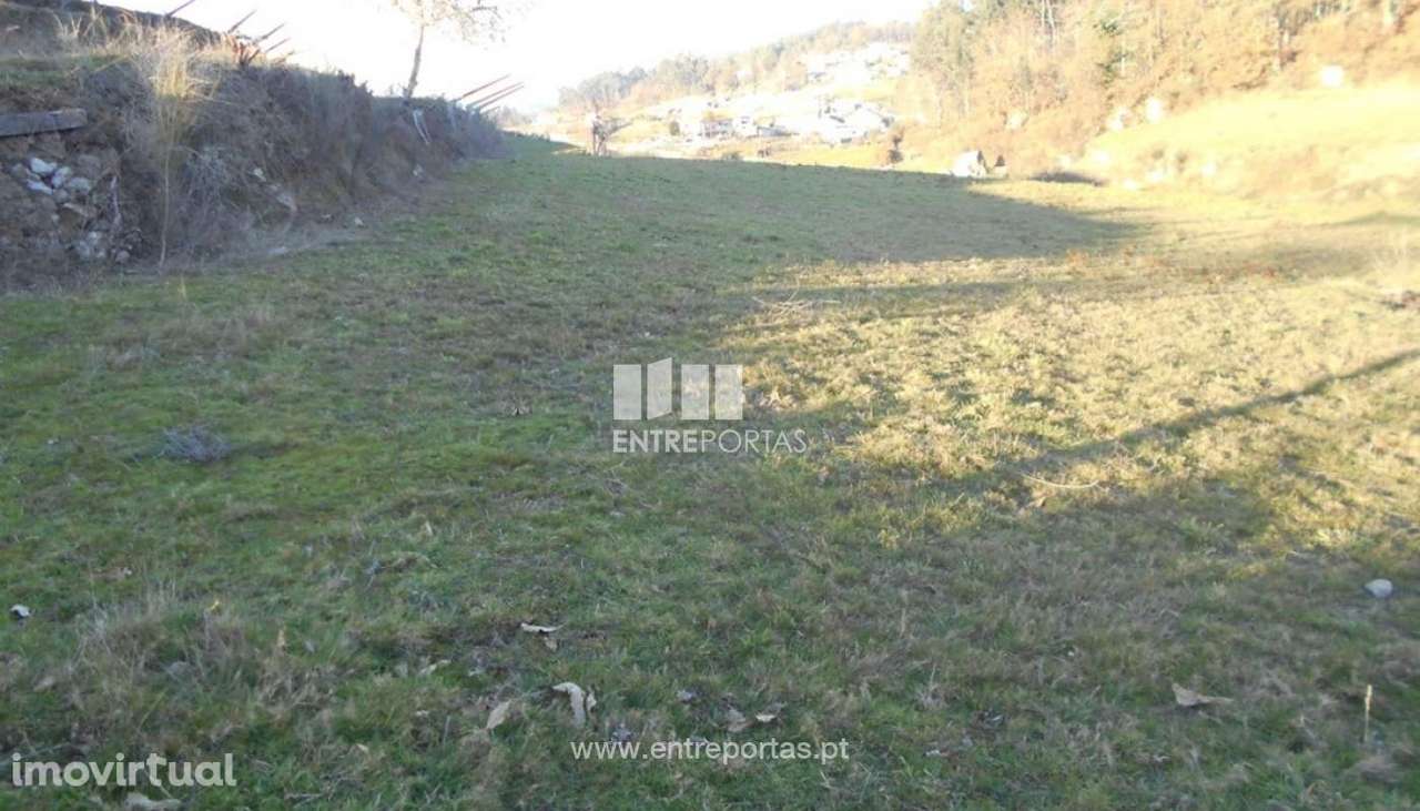 Venda de Terreno, Cunha, Paredes de Coura - Grande imagem: 3/33
