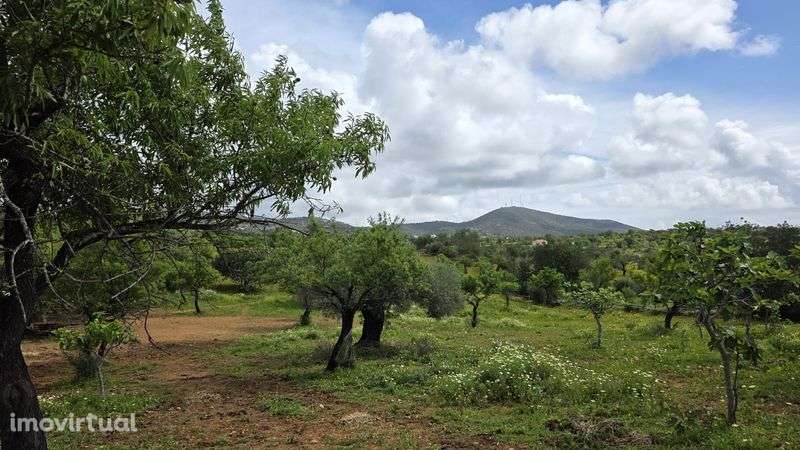 Terreno Rústico com Área Urbana – Estoi, Faro
Terreno rústico à venda - Grande imagem: 4/11