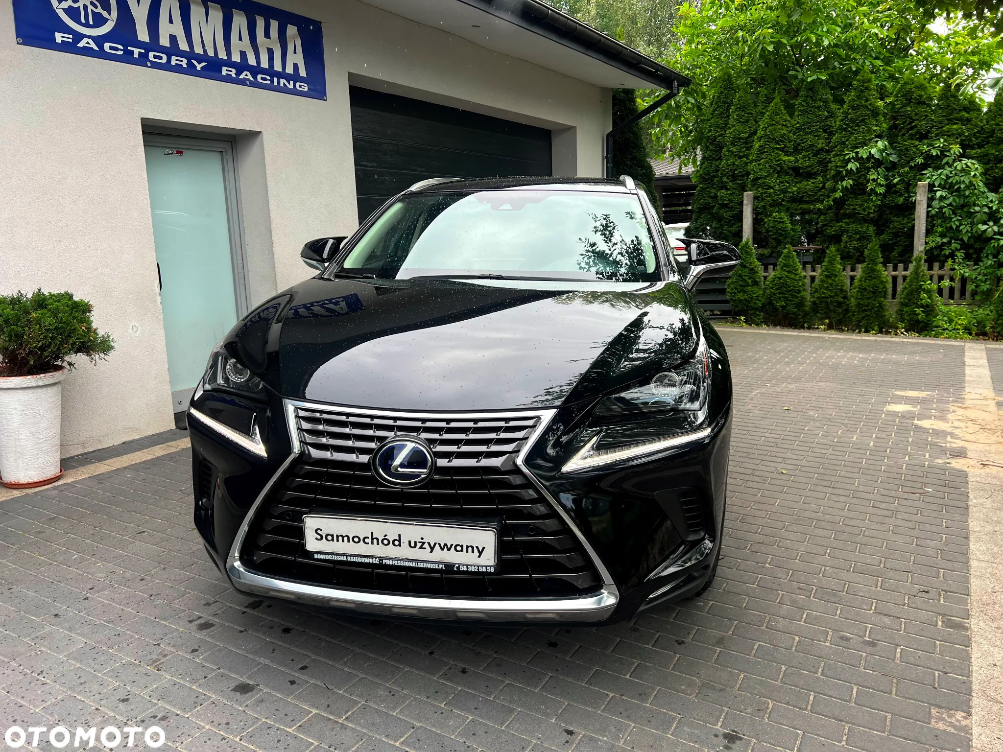 Lexus NX 300h Prestige AWD - 7