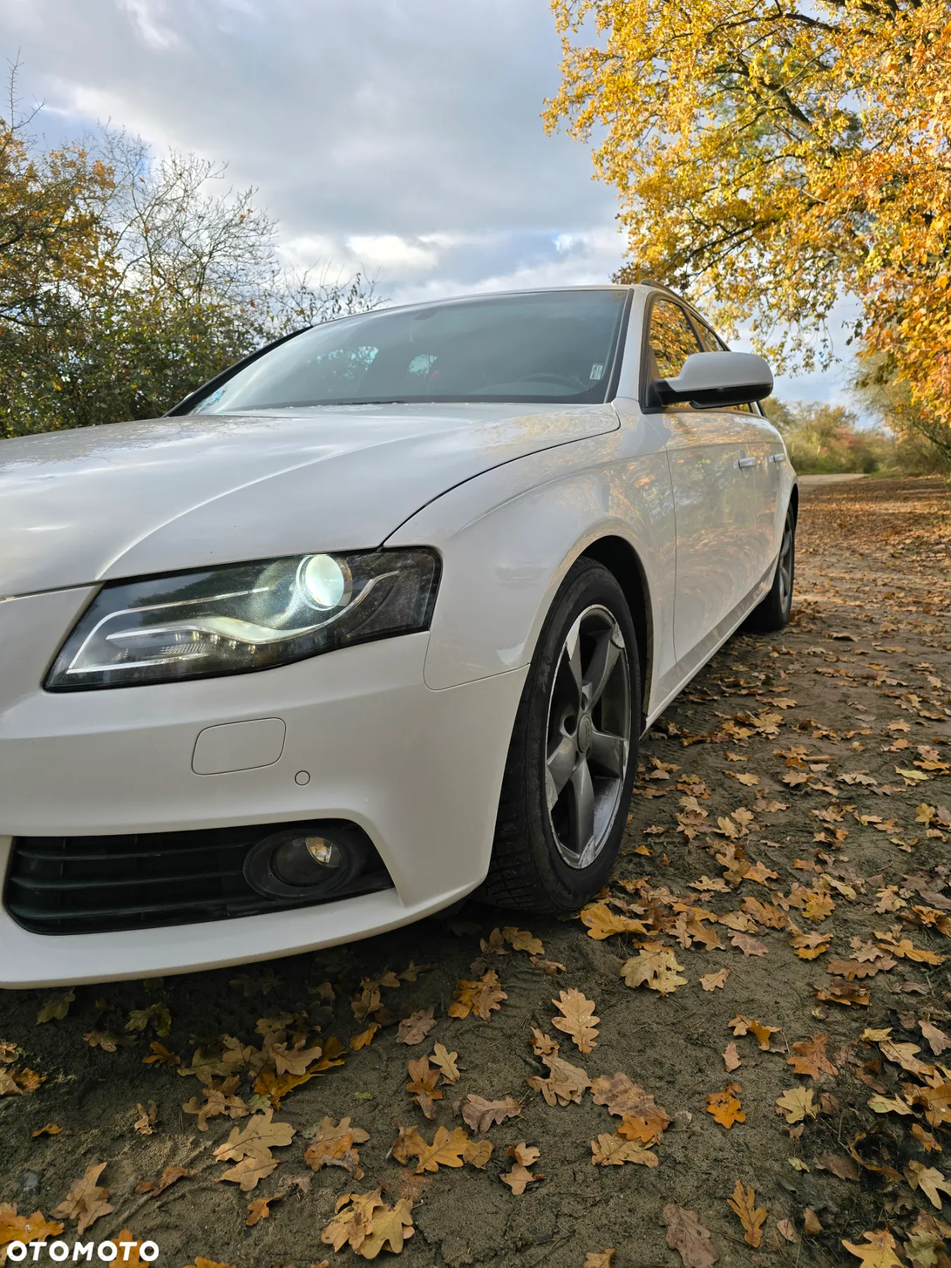 Audi A4 2.0 TDI Multitronic - 37