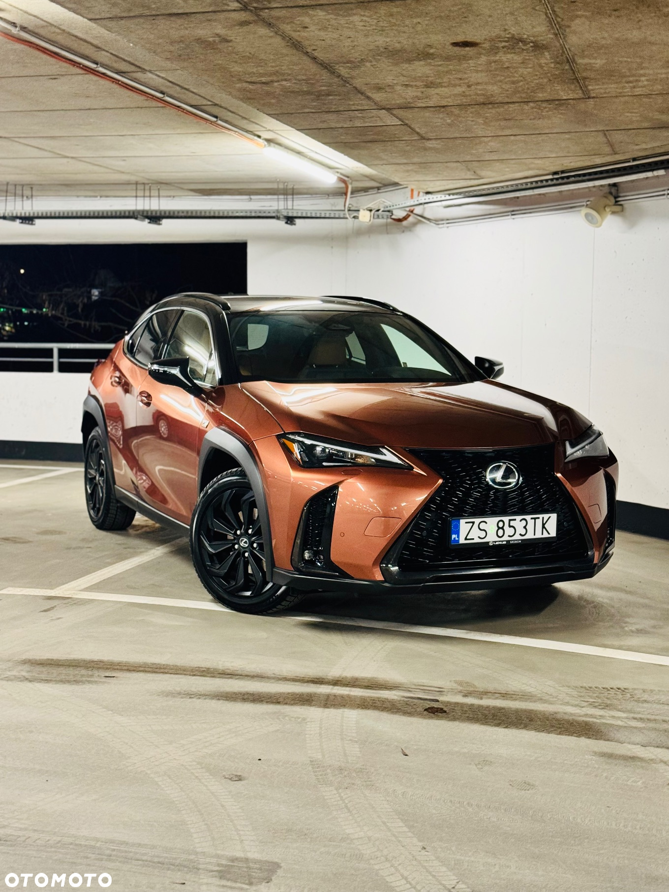 Lexus UX - 6