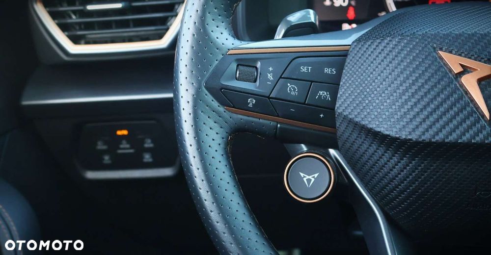 Cupra Formentor 2.0 TSI 4Drive VZ DSG - 25