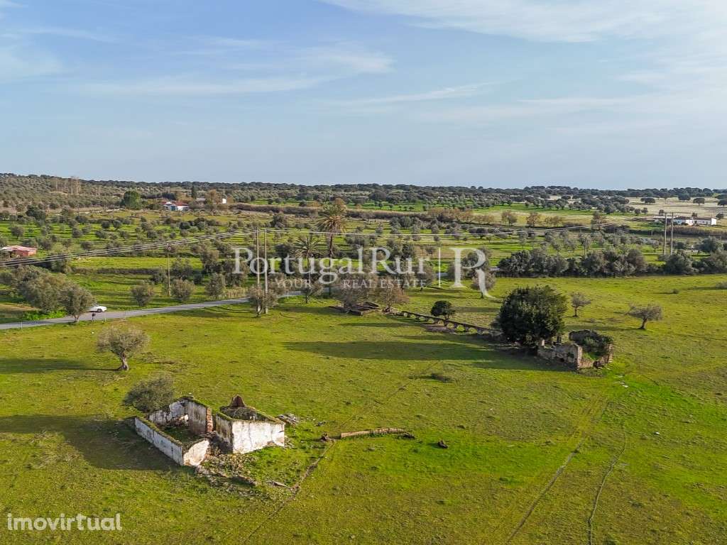 Quinta de 22 hectares em Avis, Portalegre - Grande imagem: 3/35