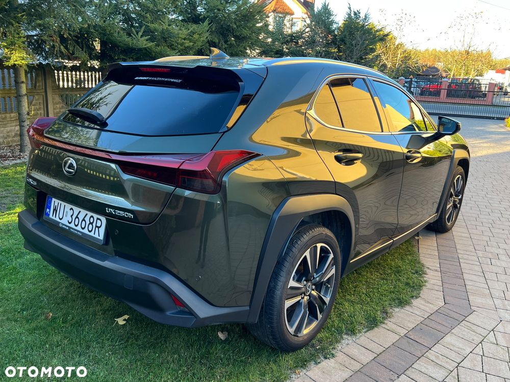 Lexus UX 250h GPF Business Edition 2WD - 17