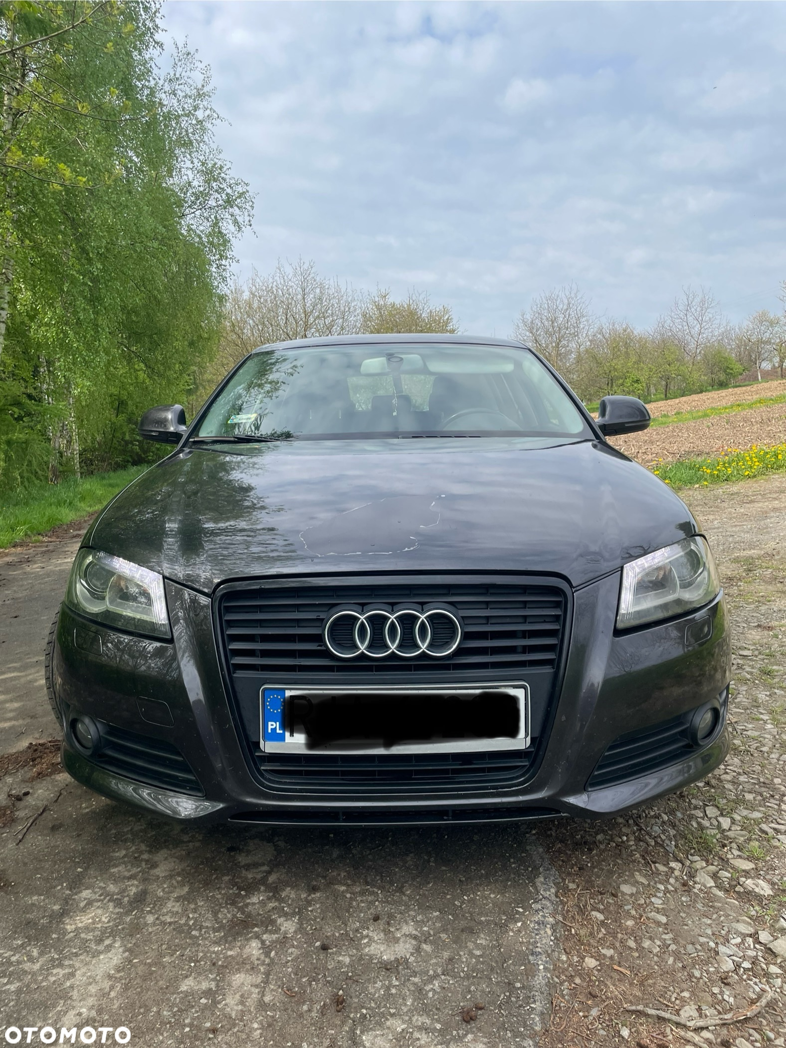 Audi A3 1.9 TDI DPF Attraction - 2