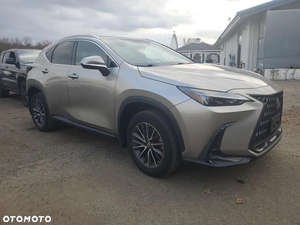 Lexus NX 300 AWD Luxury Line - 1