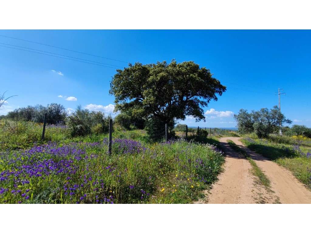 Terreno rústico perto de Póvoa de São Miguel - Grande imagem: 2/6
