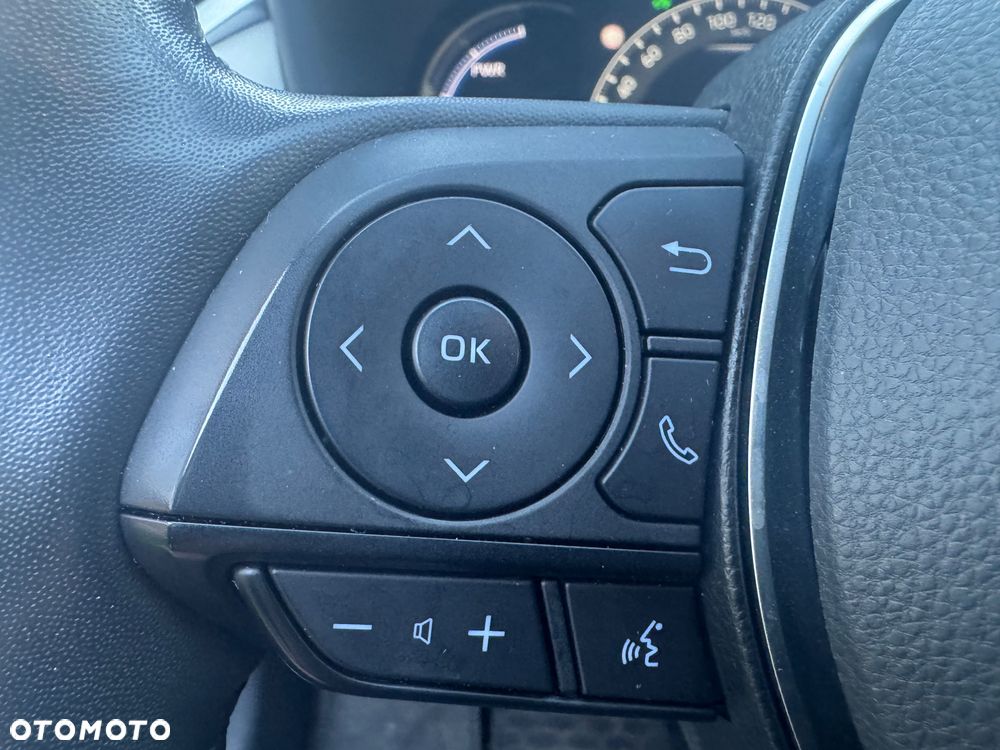 Toyota RAV4 2.5 Hybrid Executive 4x2 - 24