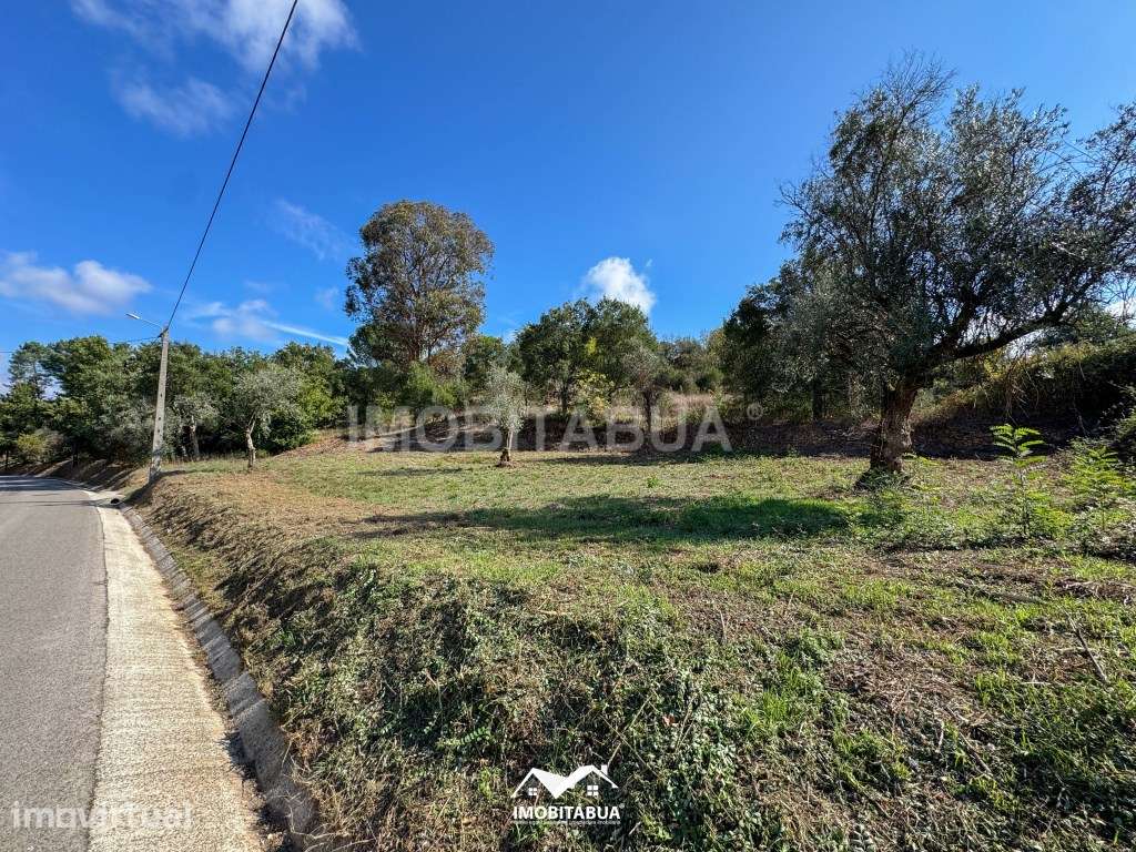 Terreno rústico em Secarias junto à Estrada Principal - Grande imagem: 4/7