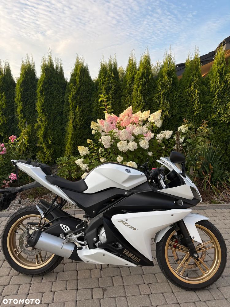 Yamaha YZF - 2