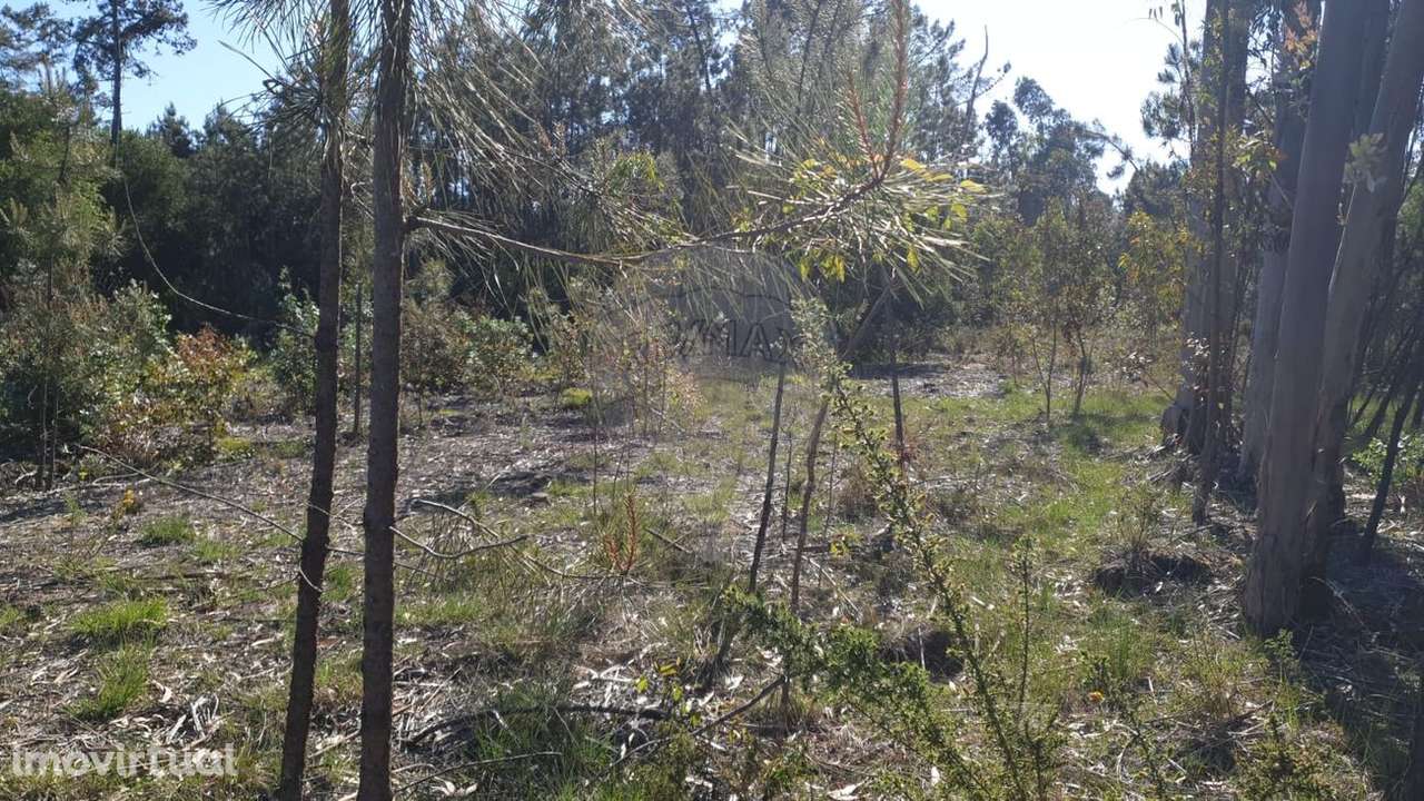 Terreno  para venda - Grande imagem: 3/3