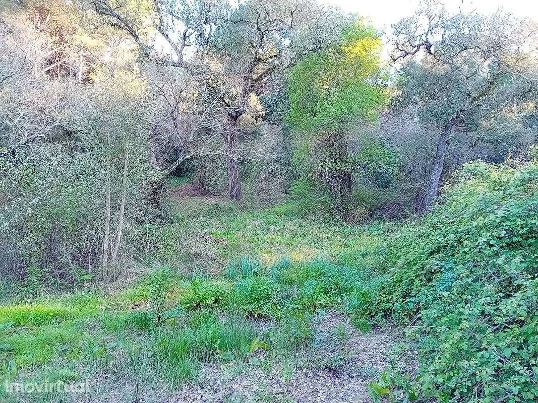 Terreno  para venda - Grande imagem: 5/7