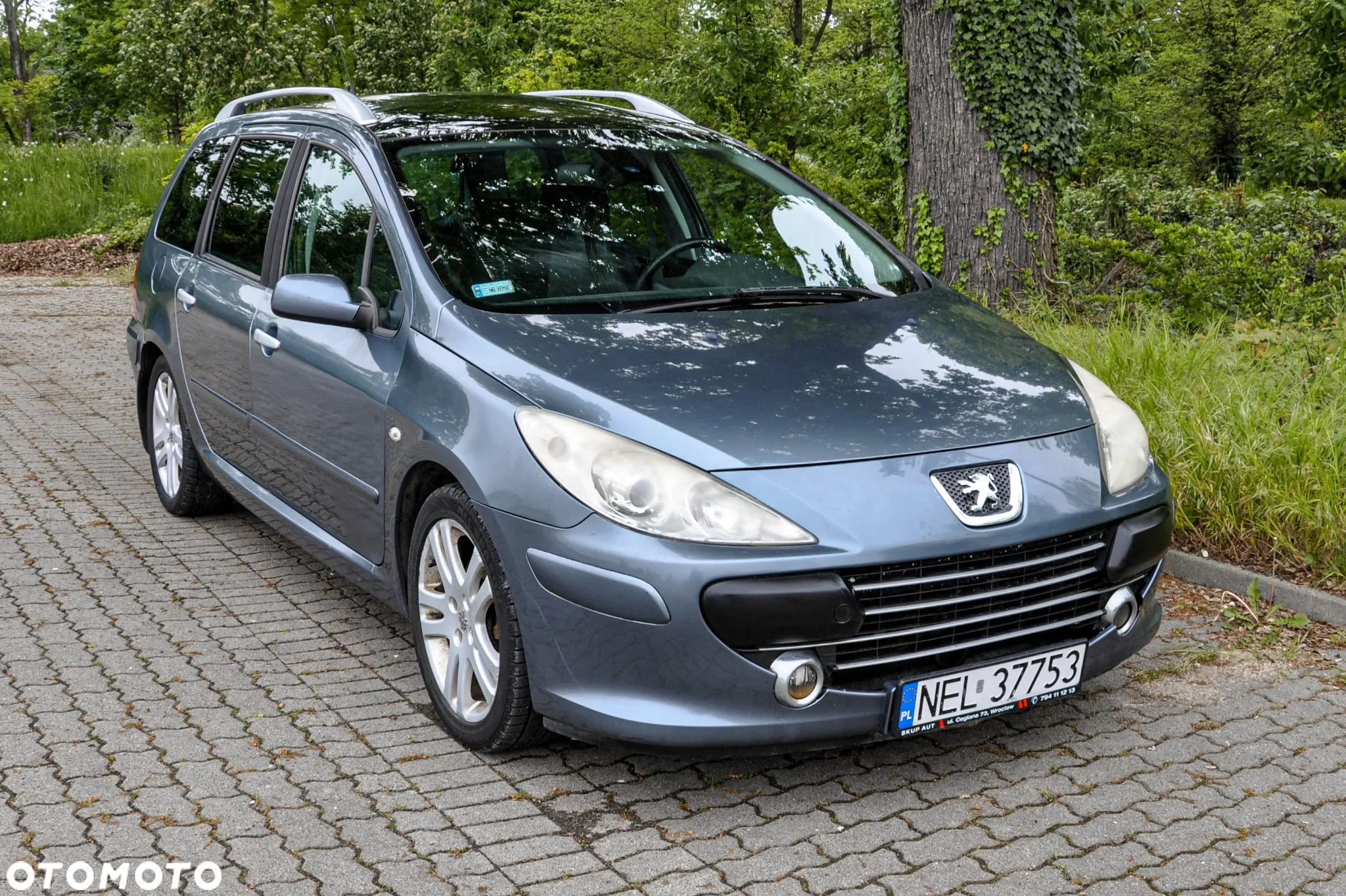 Peugeot 307 - 6
