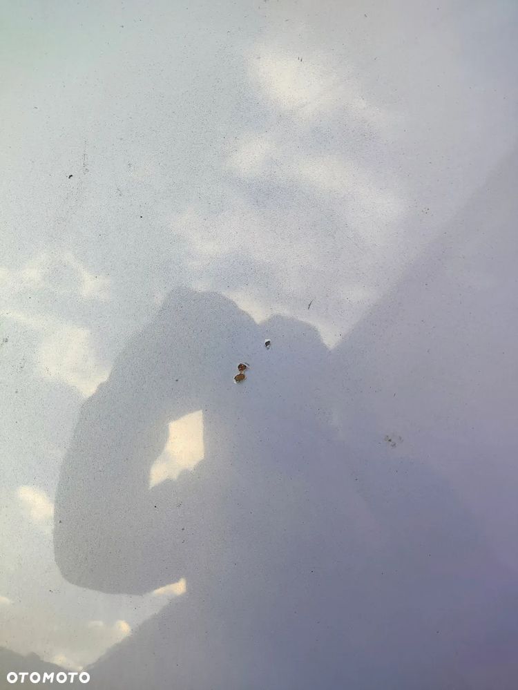 Fiat Punto 1.2 8V Active Clima - 6