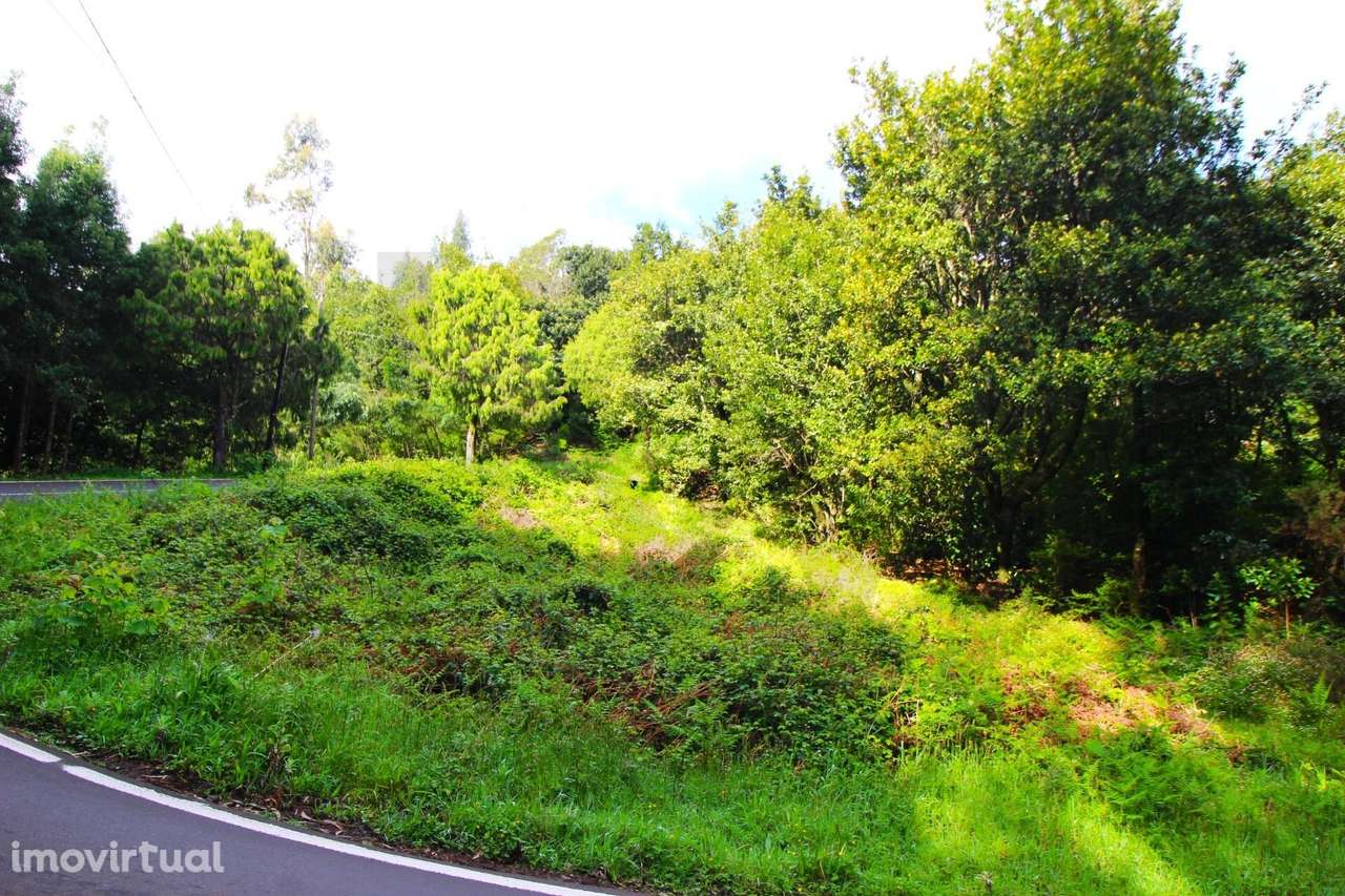 Propriedade 26.320m2, em Espaços Agrícolas, Espaços Florestais Mistos - Grande imagem: 3/40