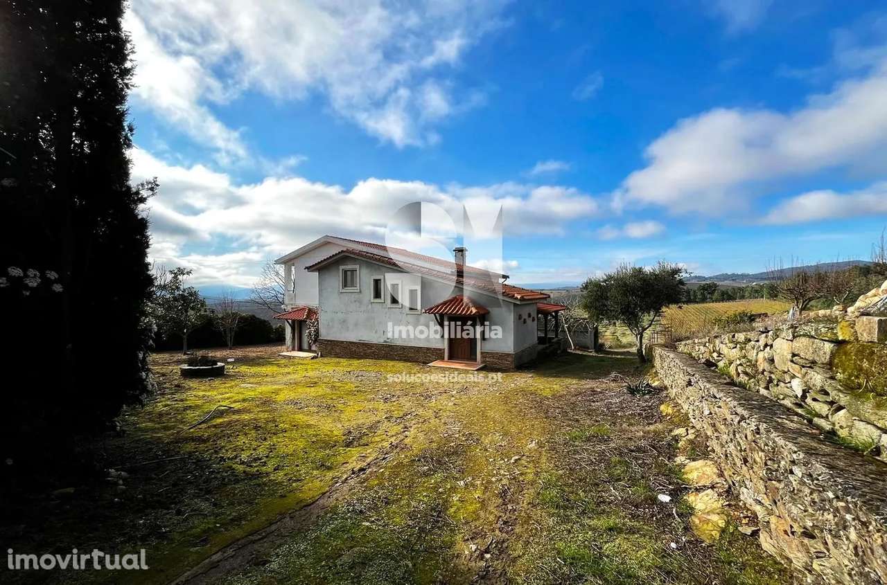 Quintinha T5 - Grande imagem: 3/46