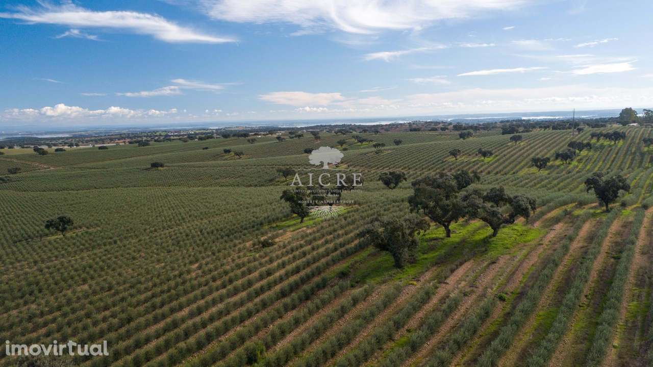 Herdade Alentejo - Grande imagem: 3/60