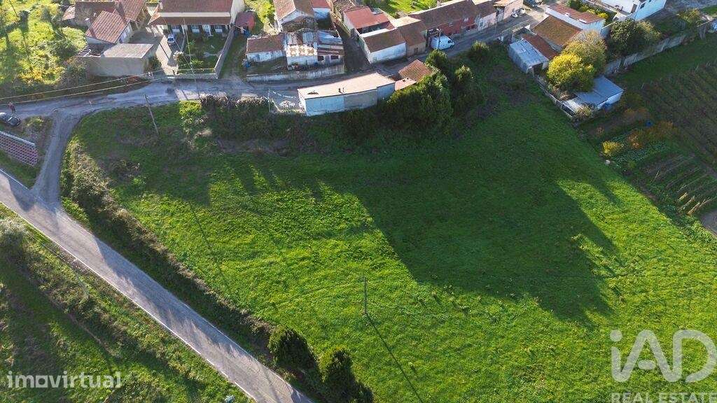 Terreno em Abrunheira, Verride e Vila Nova da Barca - Grande imagem: 5/14