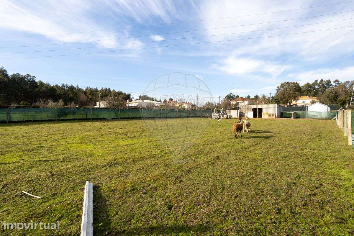 Terreno  para venda - Grande imagem: 3/3