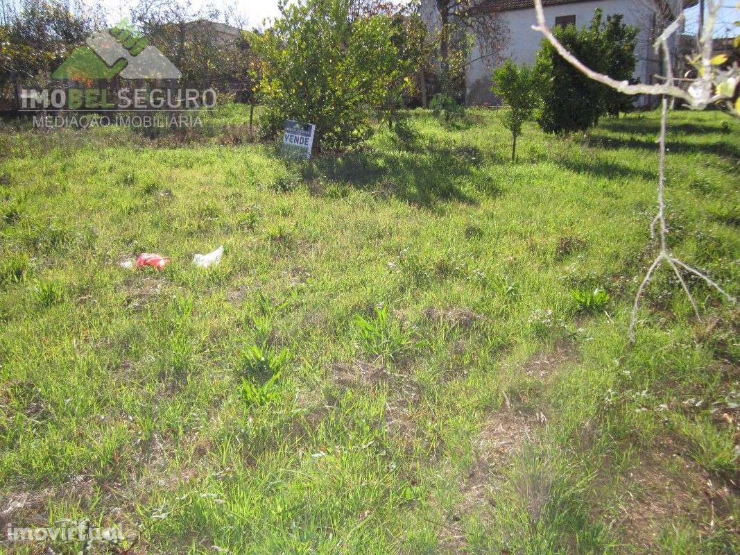 Terreno p/construção, centro de Lobão - Grande imagem: 3/11
