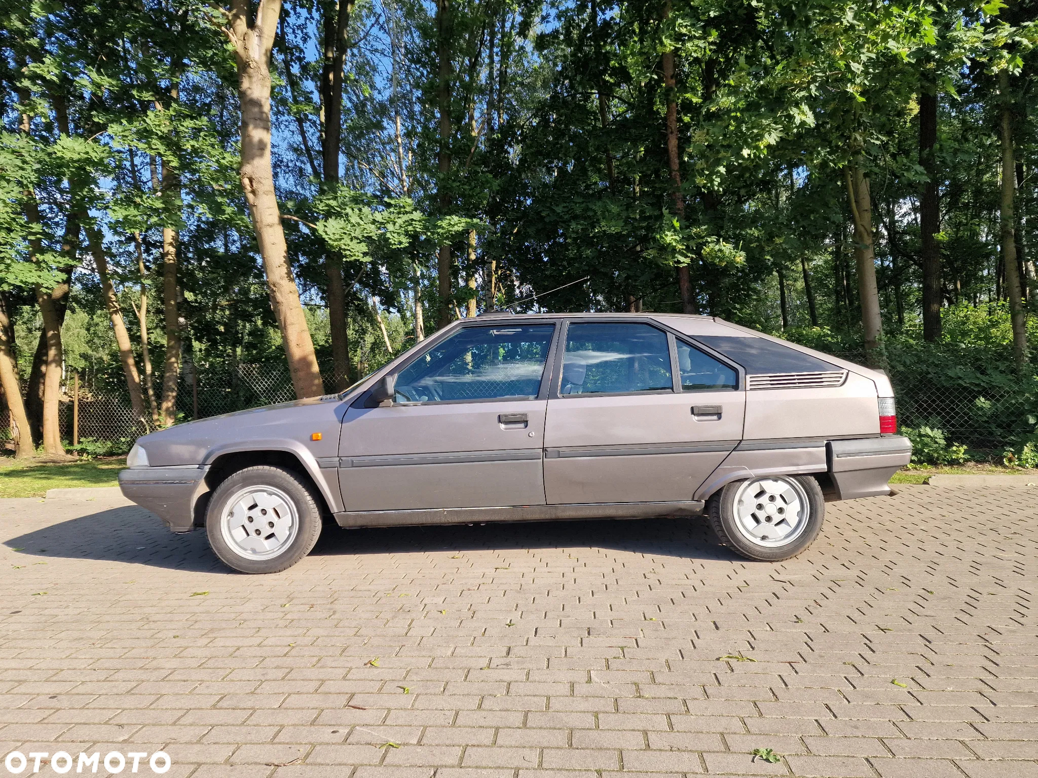 Citroën BX 17 TZD Turbo Tecnic TD 66 - 5