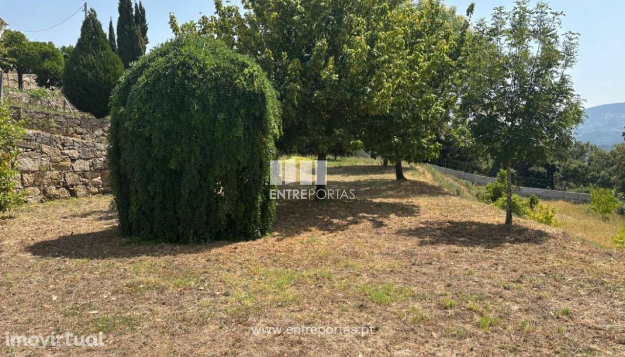 Venda Quintinha V2, São Lourenço do Douro, Marco de Canaveses - Grande imagem: 3/42