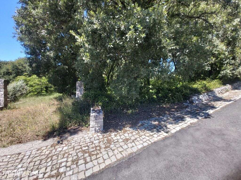 Terreno misto em Alvados e Alcaria - Grande imagem: 2/5