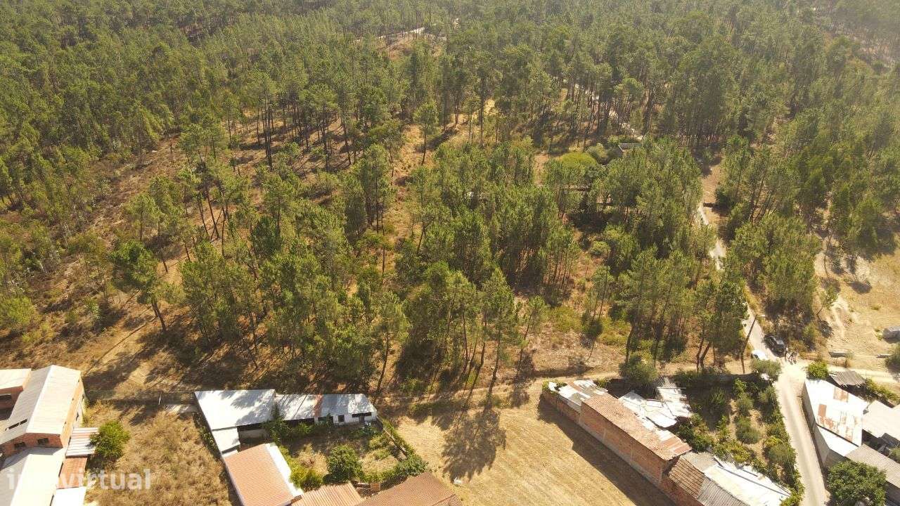 Terreno Para Construção, Rio de Couros - Grande imagem: 3/16
