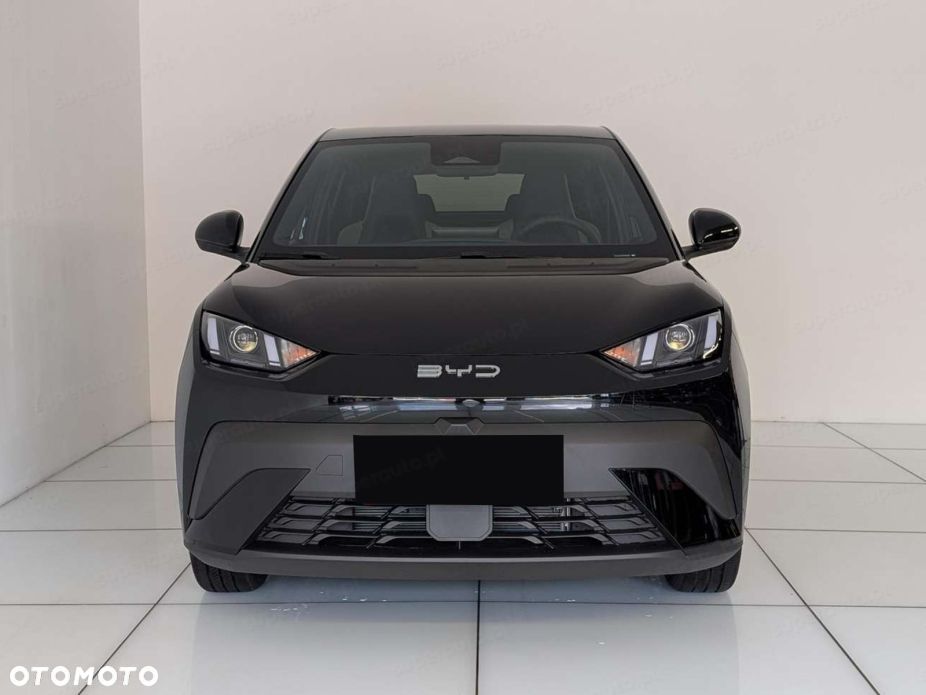 BYD Dolphin Surf - 4