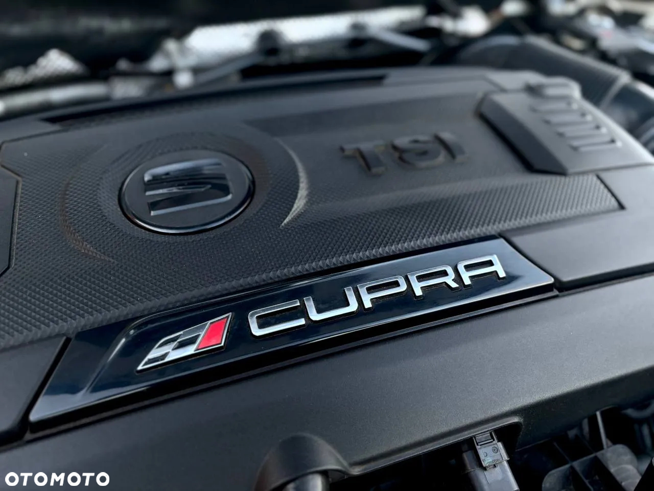 Seat Leon 2.0 TSI Cupra S&S 4Drive DSG - 12