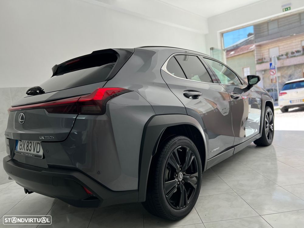 Lexus UX 250h Business - 9
