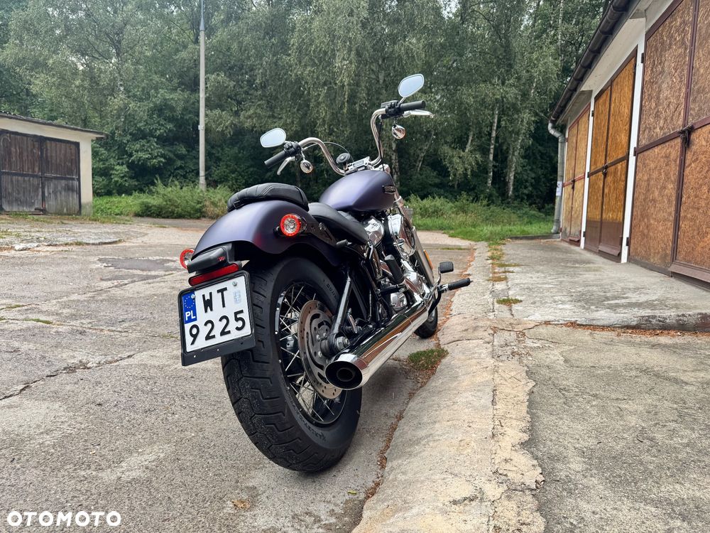 Harley-Davidson Softail Standard - 5
