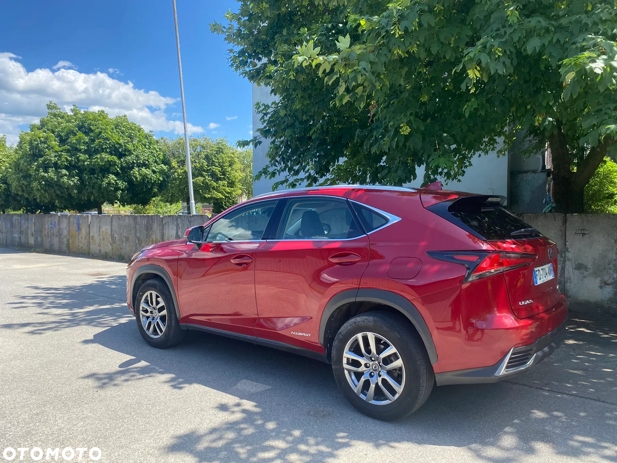 Lexus NX 300h Elegance AWD - 10