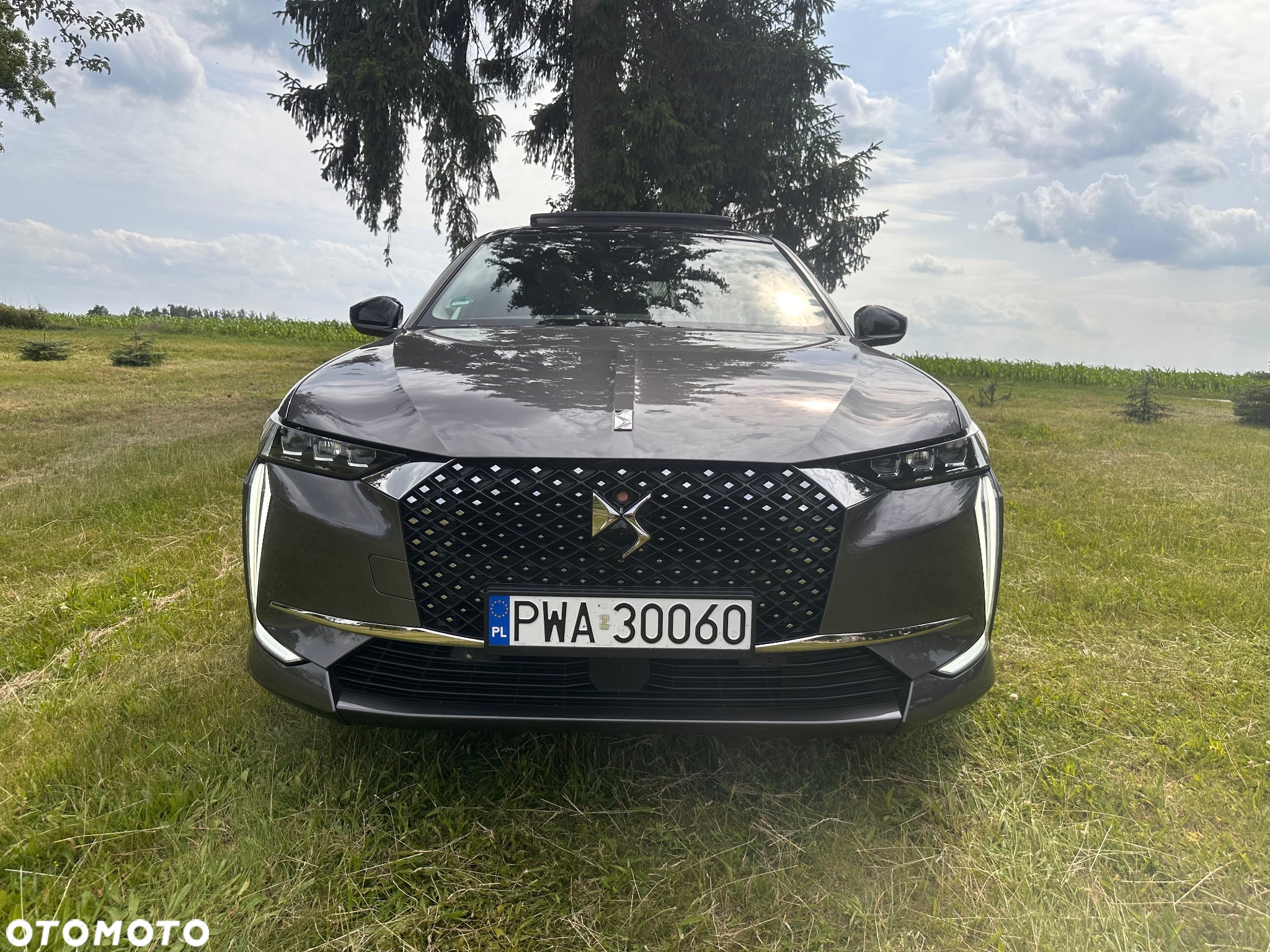 DS Automobiles DS 4 1.5 BlueHDi Opera - 5