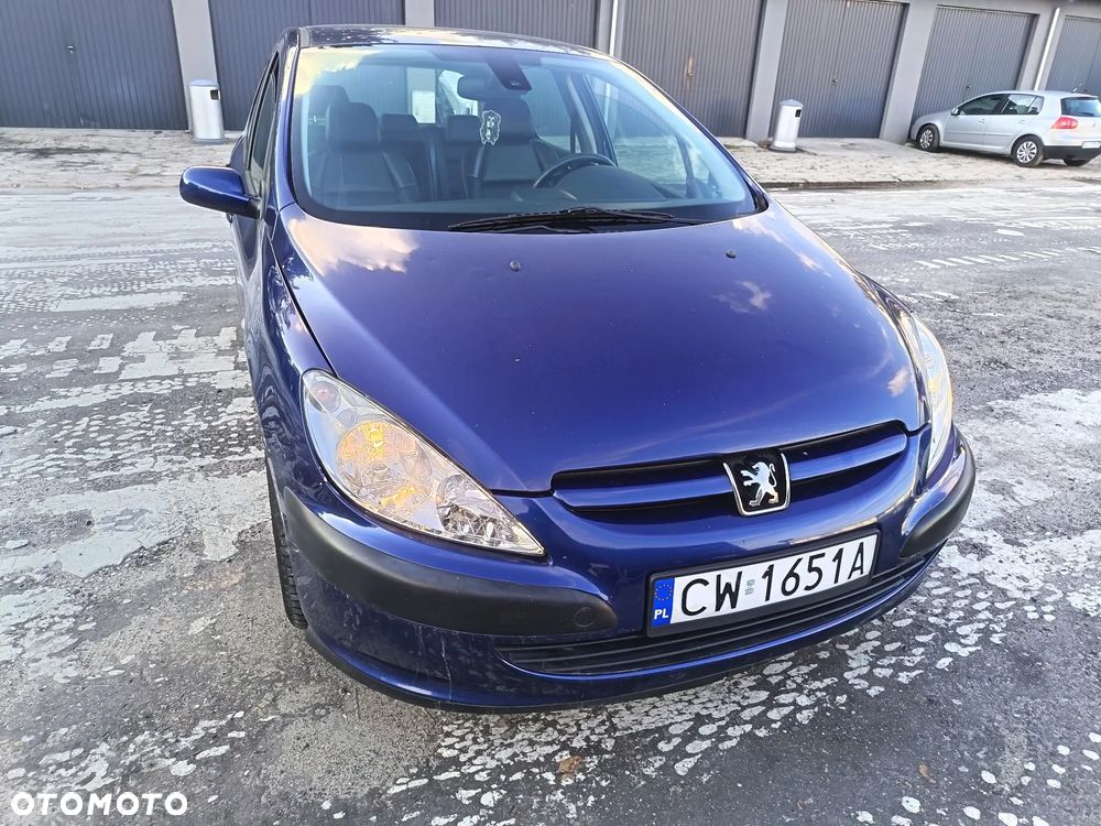 Peugeot 307 1.6 Mistral - 11