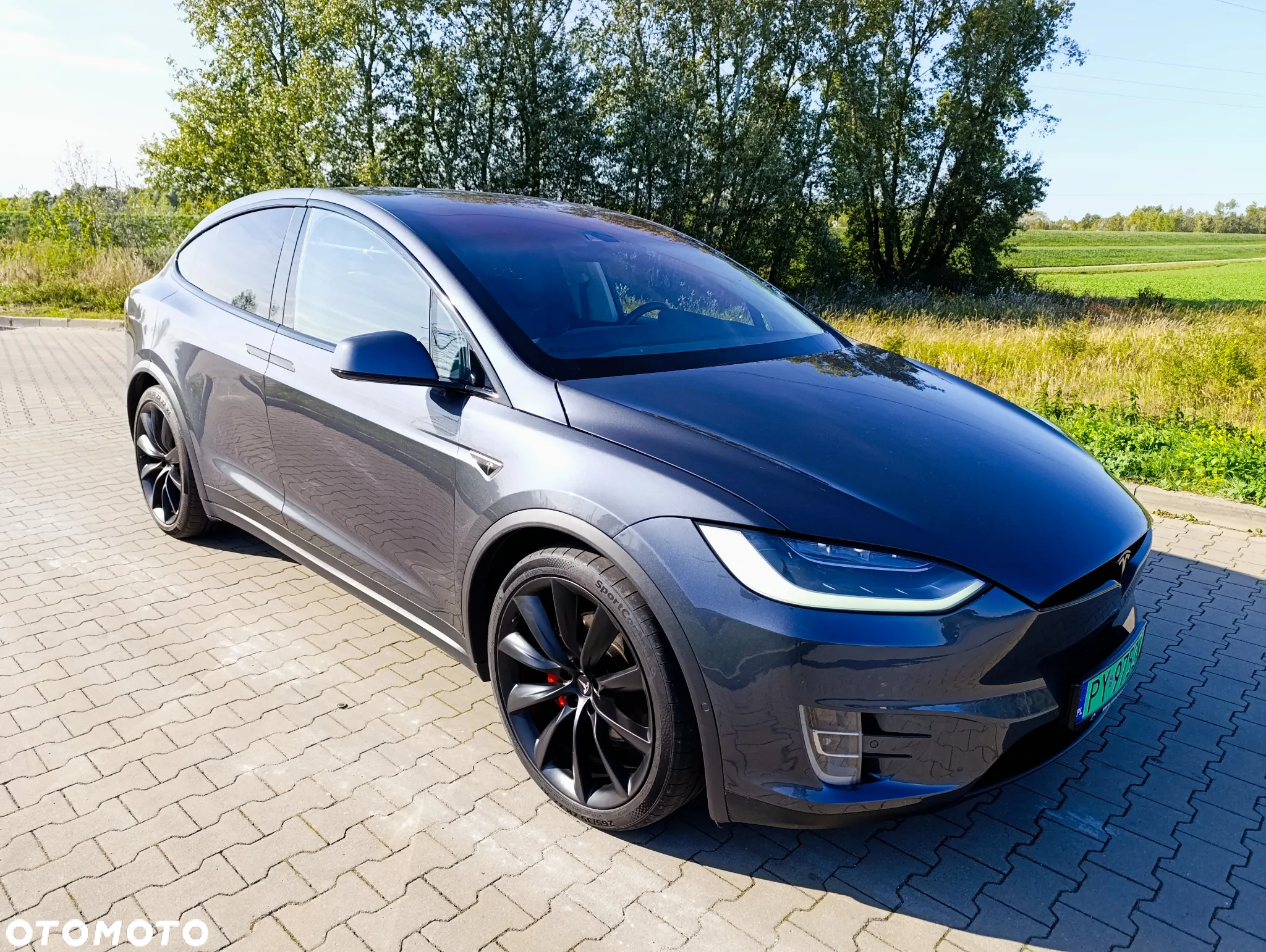Tesla Model X Performance - 6