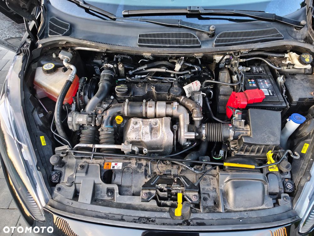 Ford Fiesta - 22